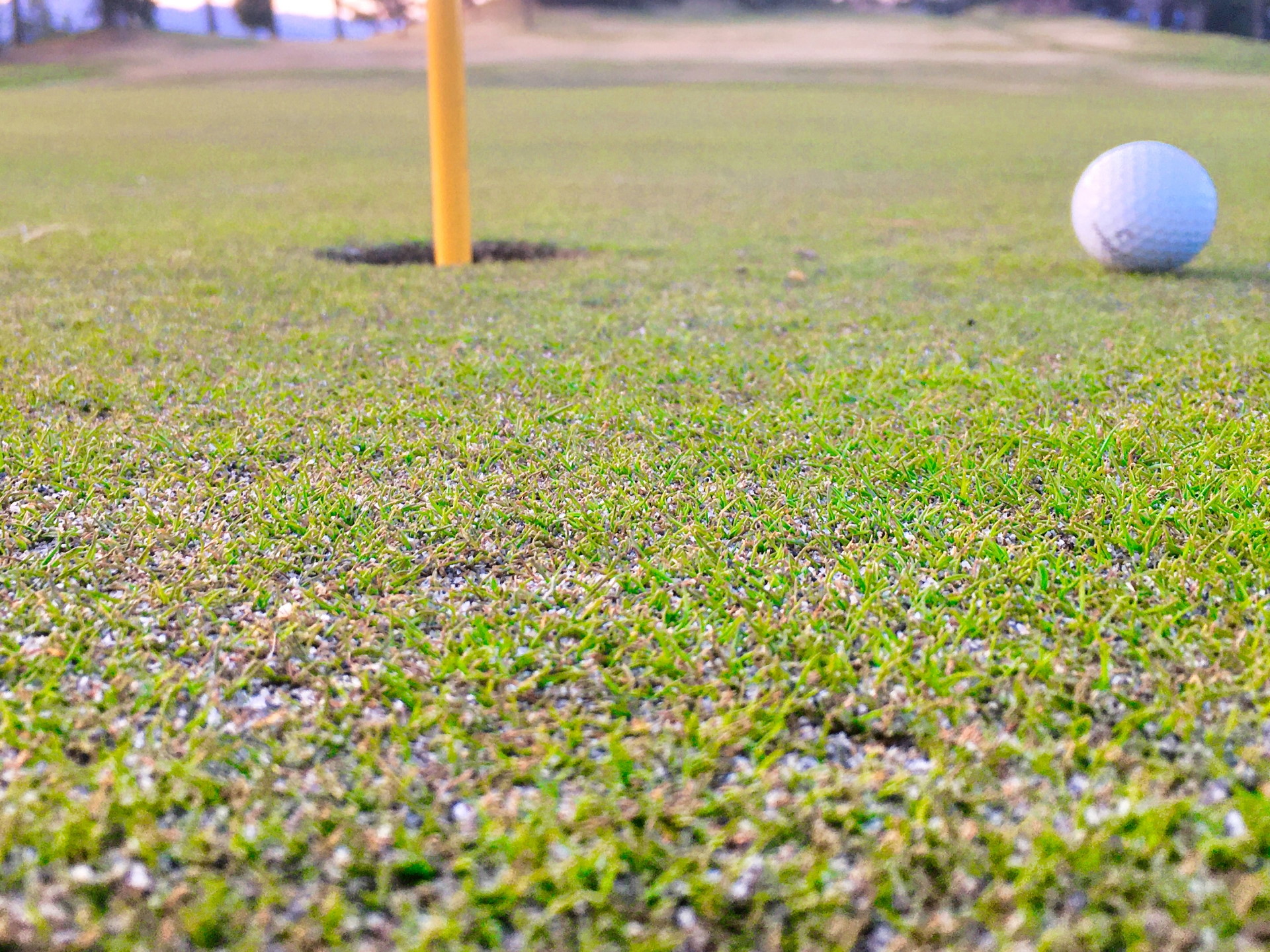 Pgm がゴルフ場を買収 太平洋クラブ は高級レストランをグループ化 M A Online M Aをもっと身近に