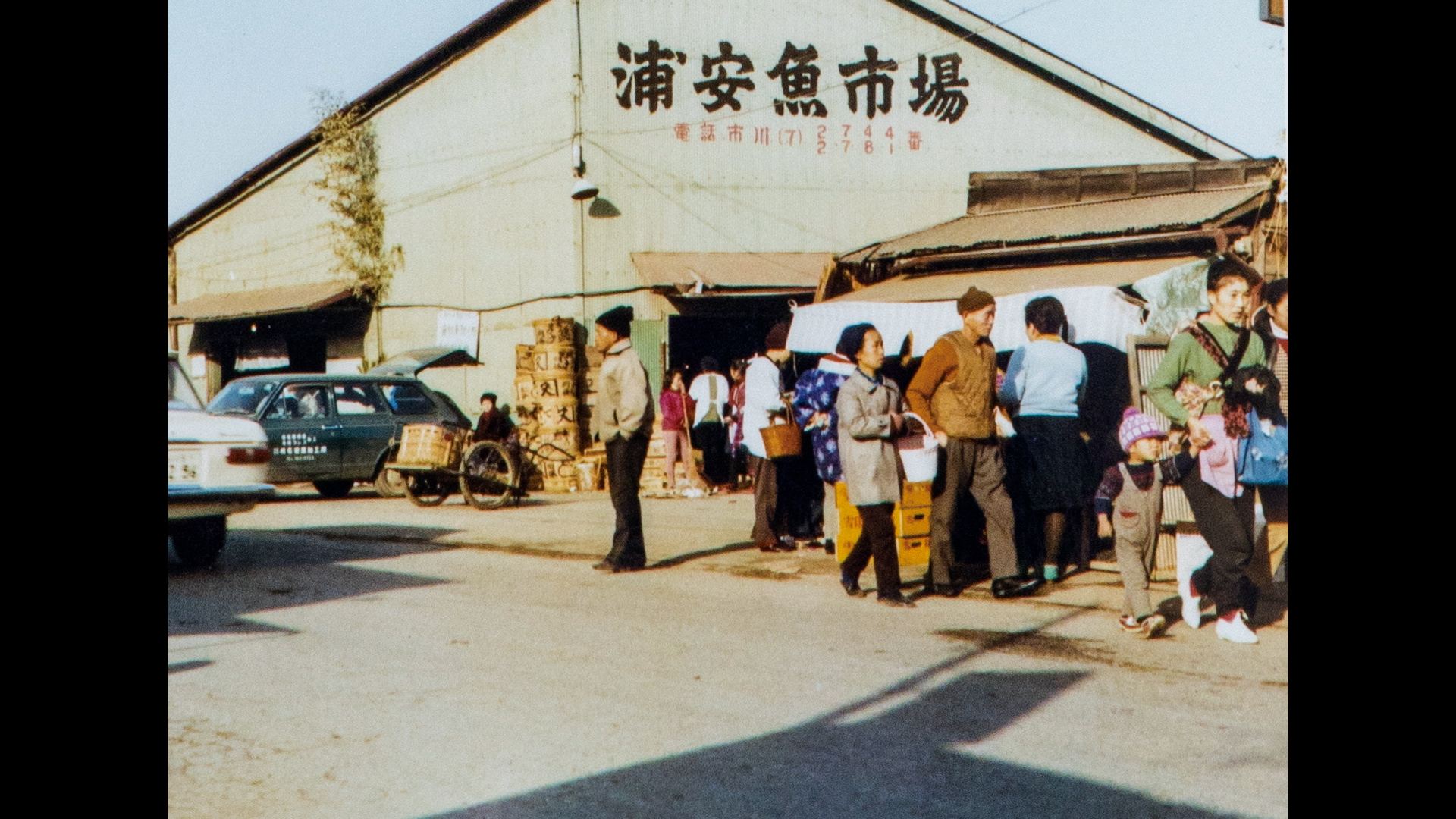 『浦安魚市場のこと』より画像